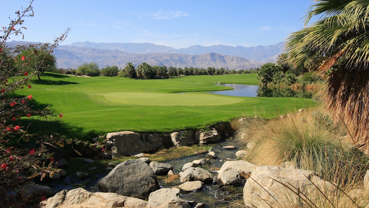 Palm Desert - Desert Willow